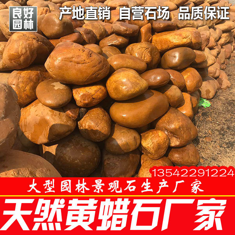 广东吨位黄蜡石30公分到60公分大小黄蜡石价格