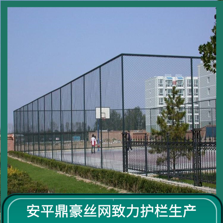 球场全封闭围网 球场护栏围网 4米高浸塑球场围网厂 鼎豪丝网图片