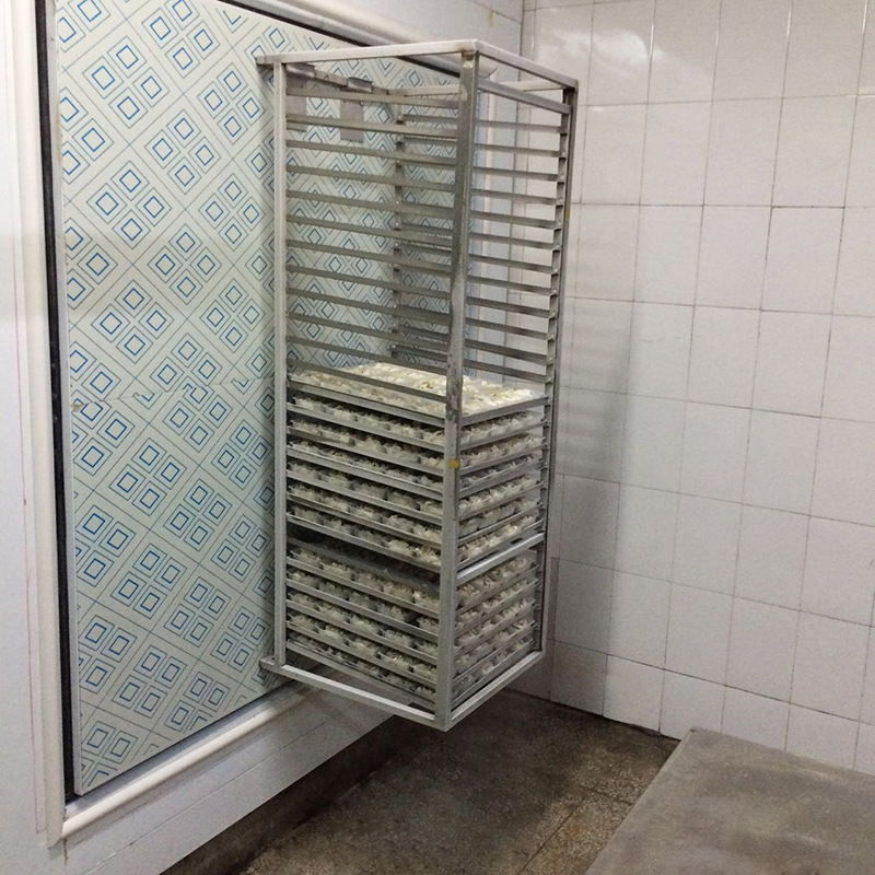 批发饭店厨房专用速冻设备速冻柜快速冷藏转门速冻机30kg示例图5