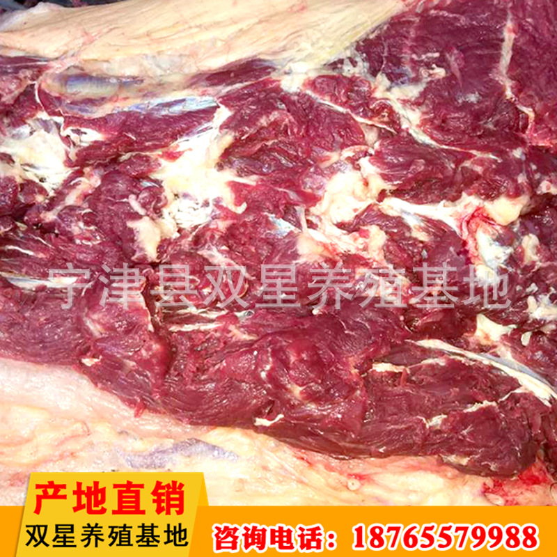 蒙古进口鲜马肉 活马屠宰脖头肉产地直销 天然食品新鲜马肉示例图18