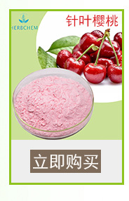 青苹果粉 食品级青苹果粉工厂直销 水溶性苹果粉示例图14