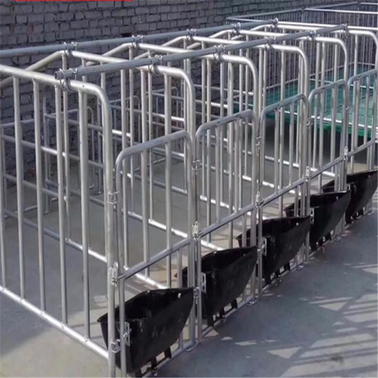 带食槽养猪定位栏 育肥用定位栏 定位栏猪用 晟坤  生产厂家