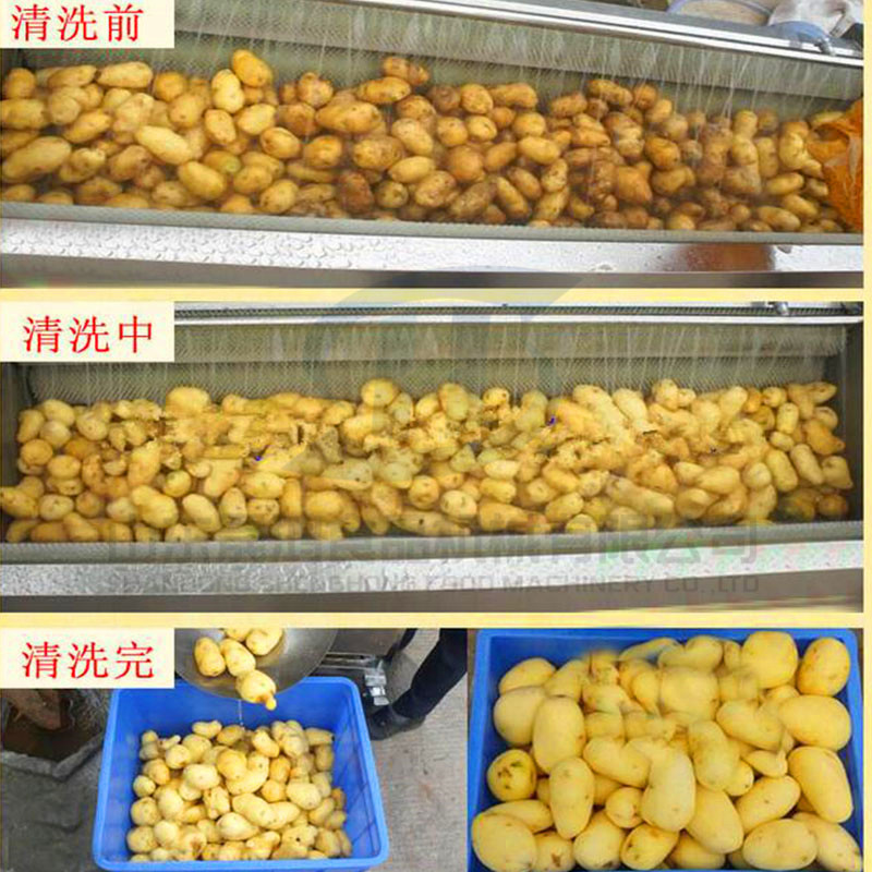 土豆（马铃薯）清洗分级机 果蔬清洗机 自动风干 自动分选示例图12