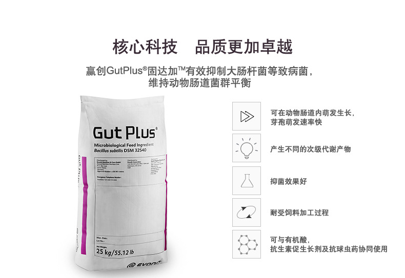 赢创  GutPlus 固达加 优质高效饲用益生菌 动物营养性饲料添加剂示例图3