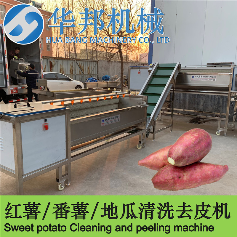 na里买红薯清洗设备 华邦机械红薯加工机器厂家