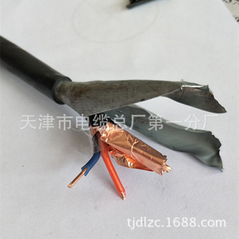 铜芯计算机通讯电缆ZR-DJYP2V22 国标 厂家直销示例图7