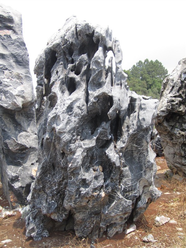 太湖石，广东太湖石，英德太湖石，清远太湖石示例图6