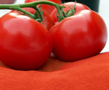 厂家优价供应番茄粉 速溶番茄粉 果蔬粉 番茄汁粉示例图2