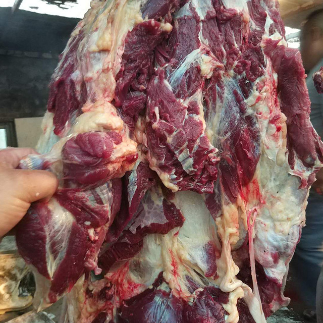 厂家直销新鲜马肉 蒙古大草原马后腿肉现杀冷冻 蒙古鲜马肉