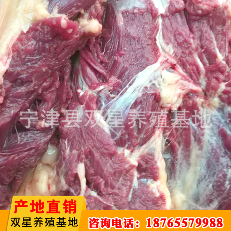 精品批发驴脊骨肉 新鲜驴骨头肉 饭店用生鲜驴肉示例图29