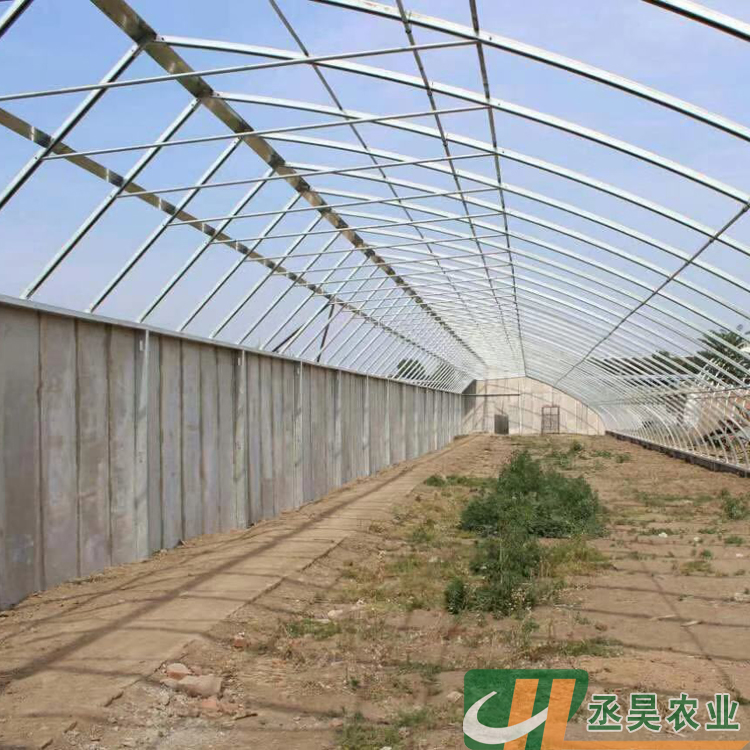 丞昊农业供应 云南 蓝莓种植 几字钢大棚 专业设计