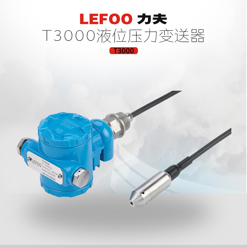 T3000液位压力变送器、传感器 投入式水位油箱液位计污水处理专用示例图2