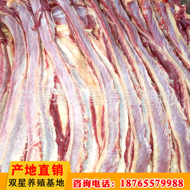 直销鲜马肉 新鲜营养肋条肉 低温储藏运输肉质鲜美马肉批发示例图2