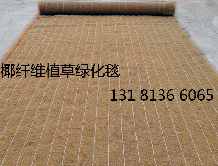路河提绿化植被毯 植物纤维毯 环保草毯 植物纤维毯