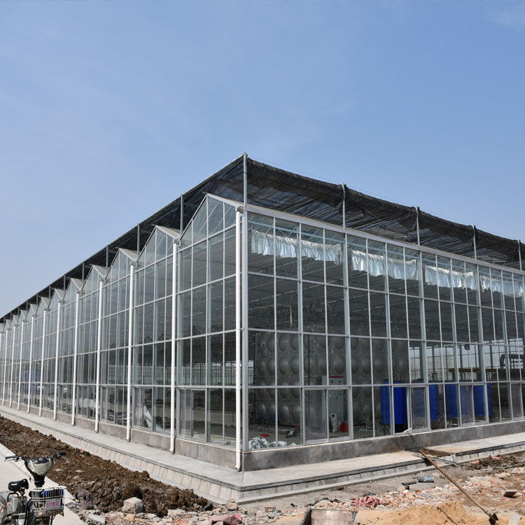 玻璃温室骨架工程 太阳板温室大棚 玻璃大棚生产厂家 博伟 BW