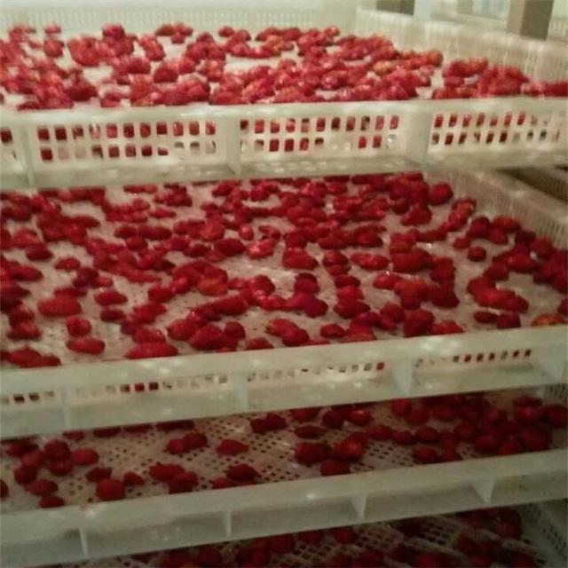 草莓烘干机 大型工业用水果切片草莓烘干设备 热泵水果烘干机价格