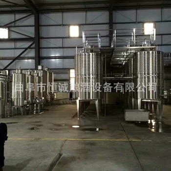 [厂家直销]不锈钢304发酵罐 3吨5吨10吨 酿酒设备 储酒罐定制示例图3