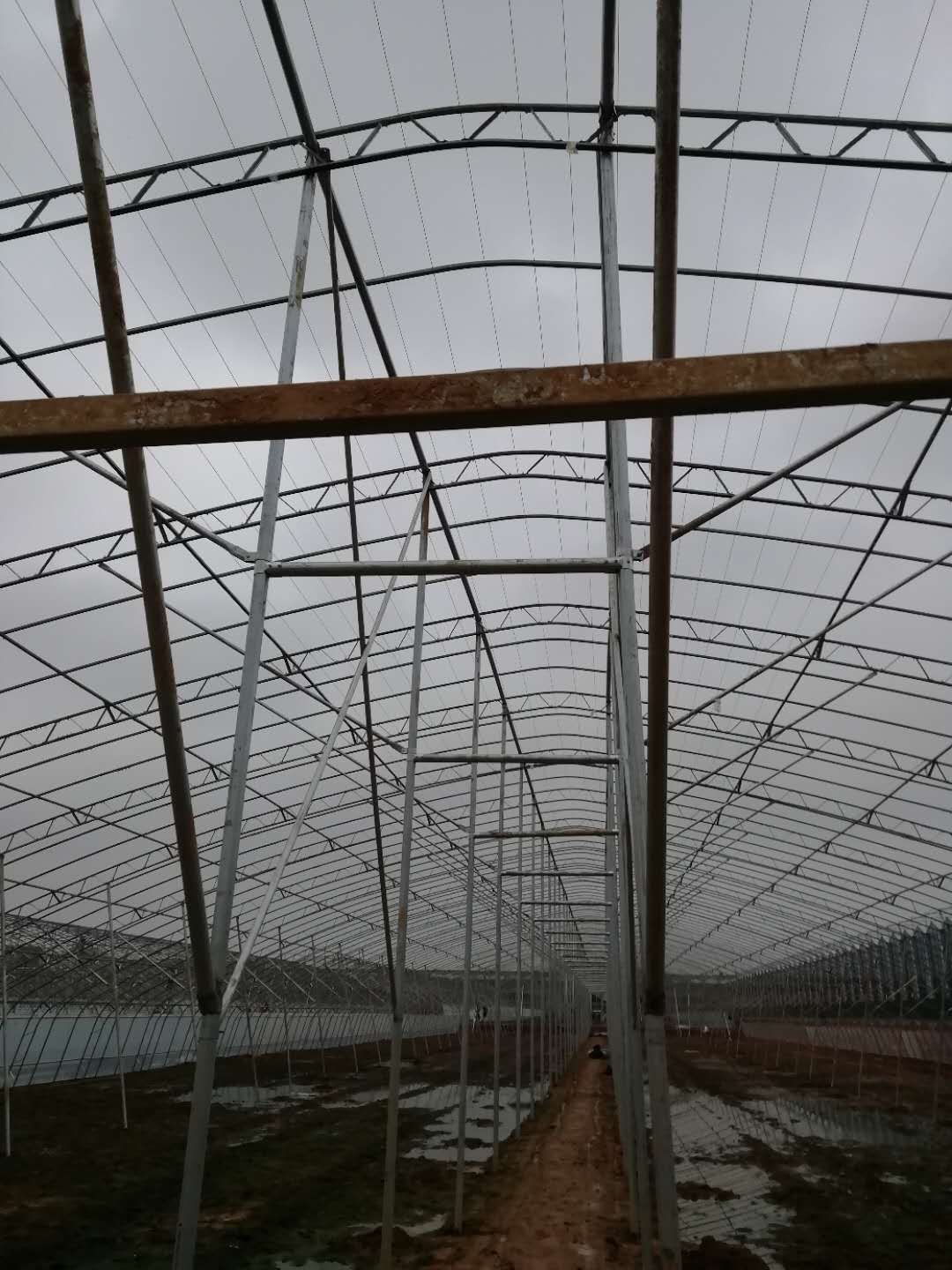 洲鹏农业 乌鲁木齐  温室配件  大棚覆盖  专业生产线