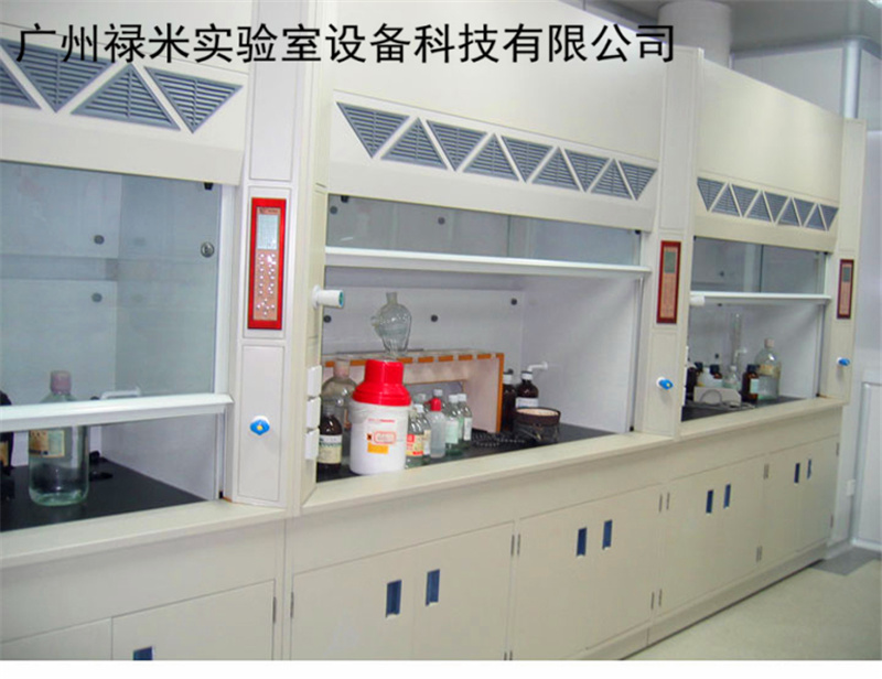 化学分析室通风柜 理化室通风柜 防腐 禄米实验室设备LUMI-TF10Q