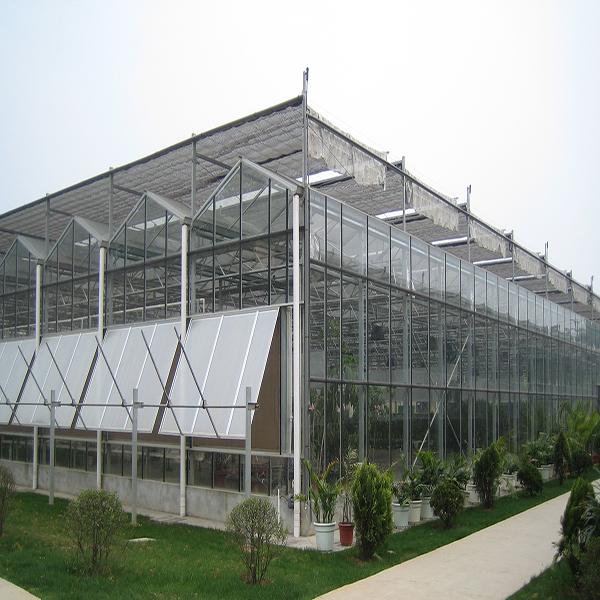 温室大棚建设厂家 智能花卉温室大棚 自控玻璃温室 博伟 BW