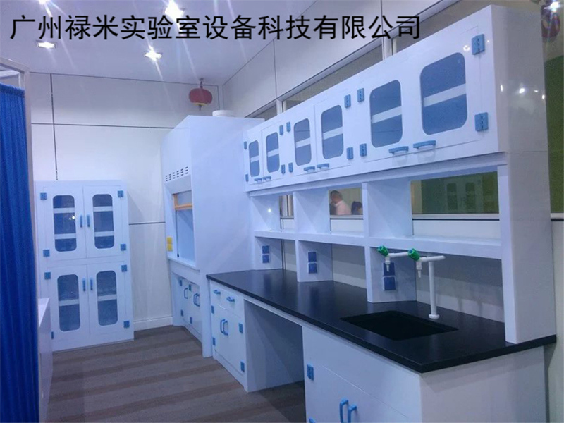 实验室家具 工作台 耐腐蚀PP边台 实验台 实验台柜定制 广州禄米实验室LM-PP003