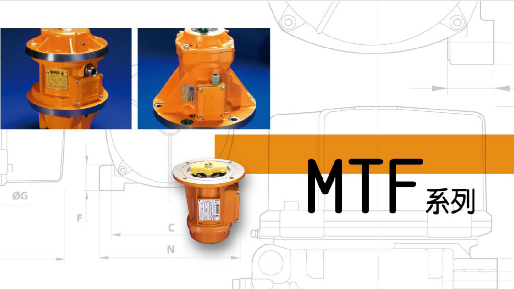 ITALVIBRAS立式振动电机 MTF 3/650-S02-LAM 现货促销示例图4