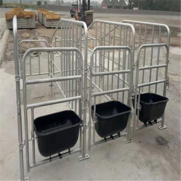 猪用定位栏 安装地面母猪限位栏 晟坤  生产厂家