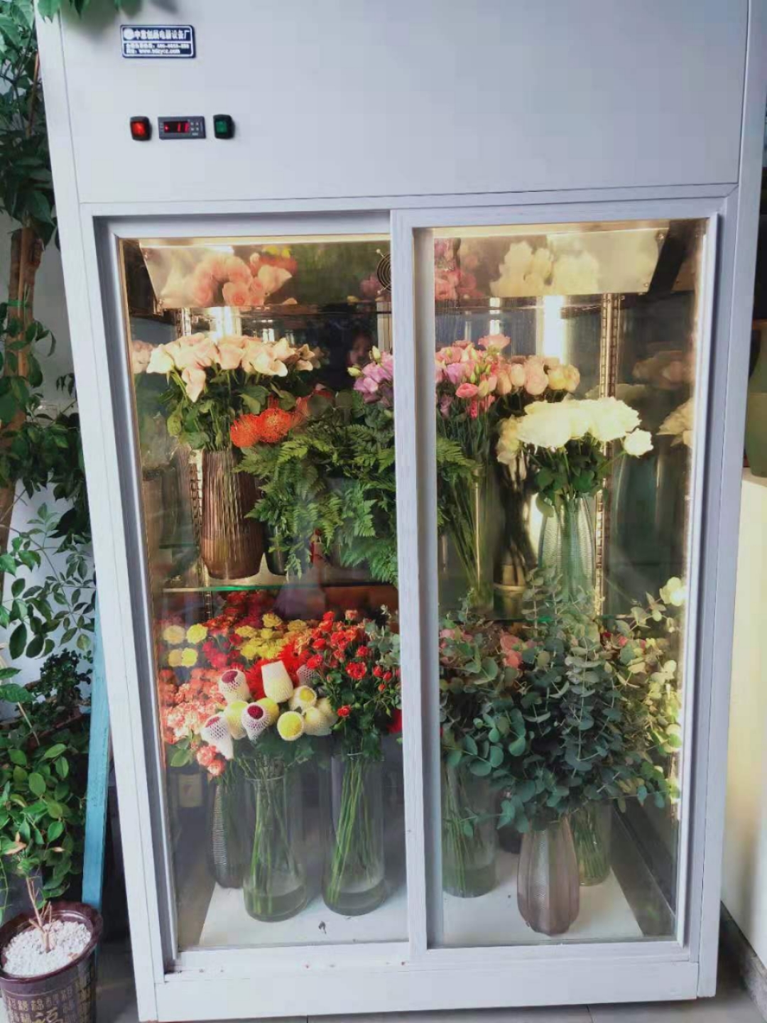 萍乡四面透明鲜花展示柜立式带门鲜花柜花店玻璃冰柜植物柜陈列冷藏展示柜