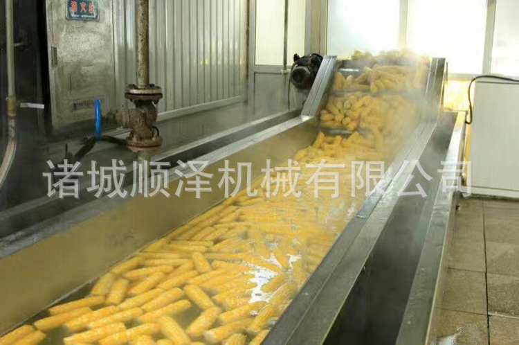 顺泽直销速冻玉米生产线 糯玉米清洗加工流水线 水果玉米加工设备示例图11