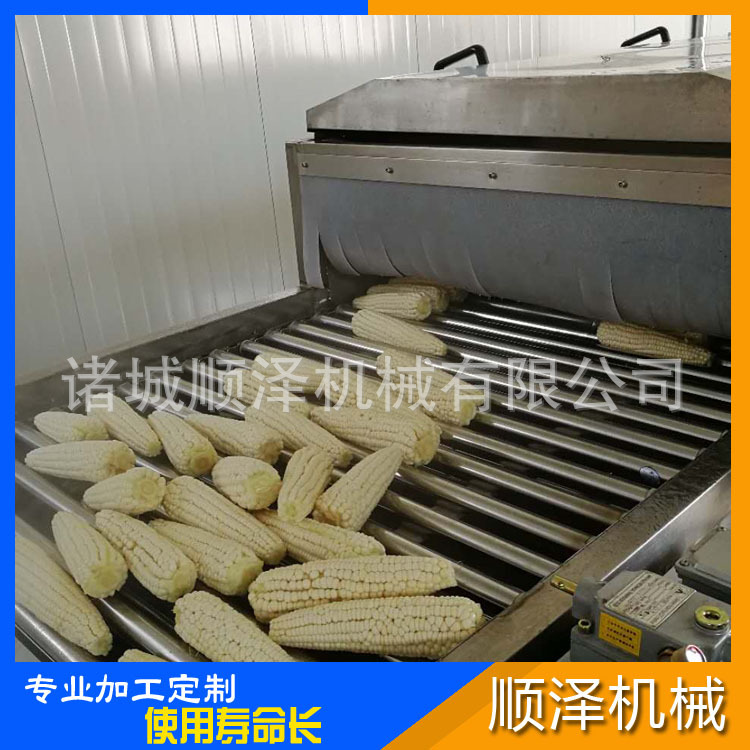 顺泽销售 玉米清洗机 玉米漂烫杀青机 速冻玉米加工设备示例图6