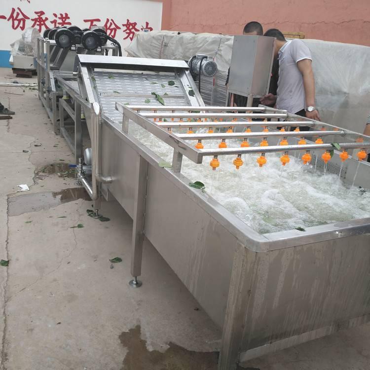 6000翻浪式蔬菜清洗机 福旺达  高压水果喷淋气泡机 水果清洗机 山东厂家供应