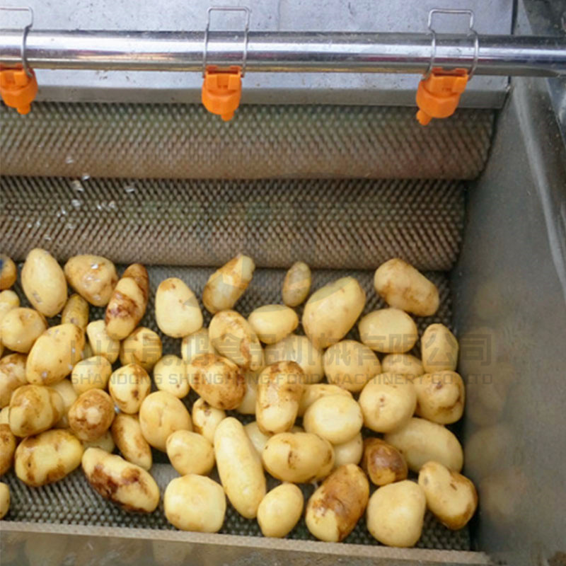 晟鸿供应土豆红薯脱皮机 芋头马铃薯地瓜萝卜脱皮清洗机示例图7
