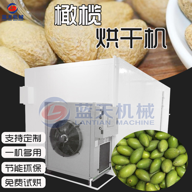 蓝天空气能热泵橄榄果烘干机 橄榄干热风烘干箱 青果箱式烘干设备图片