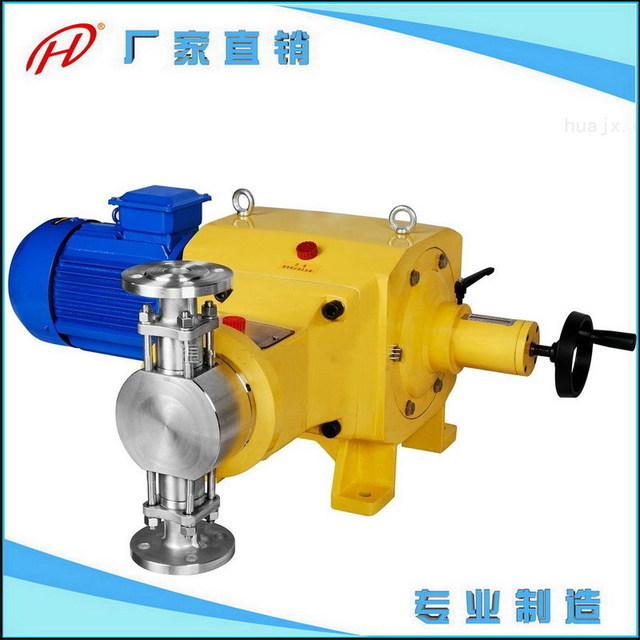 DZ-Z柱塞式计量泵 柱塞式计隔膜计量泵 柱塞式计量泵电动
