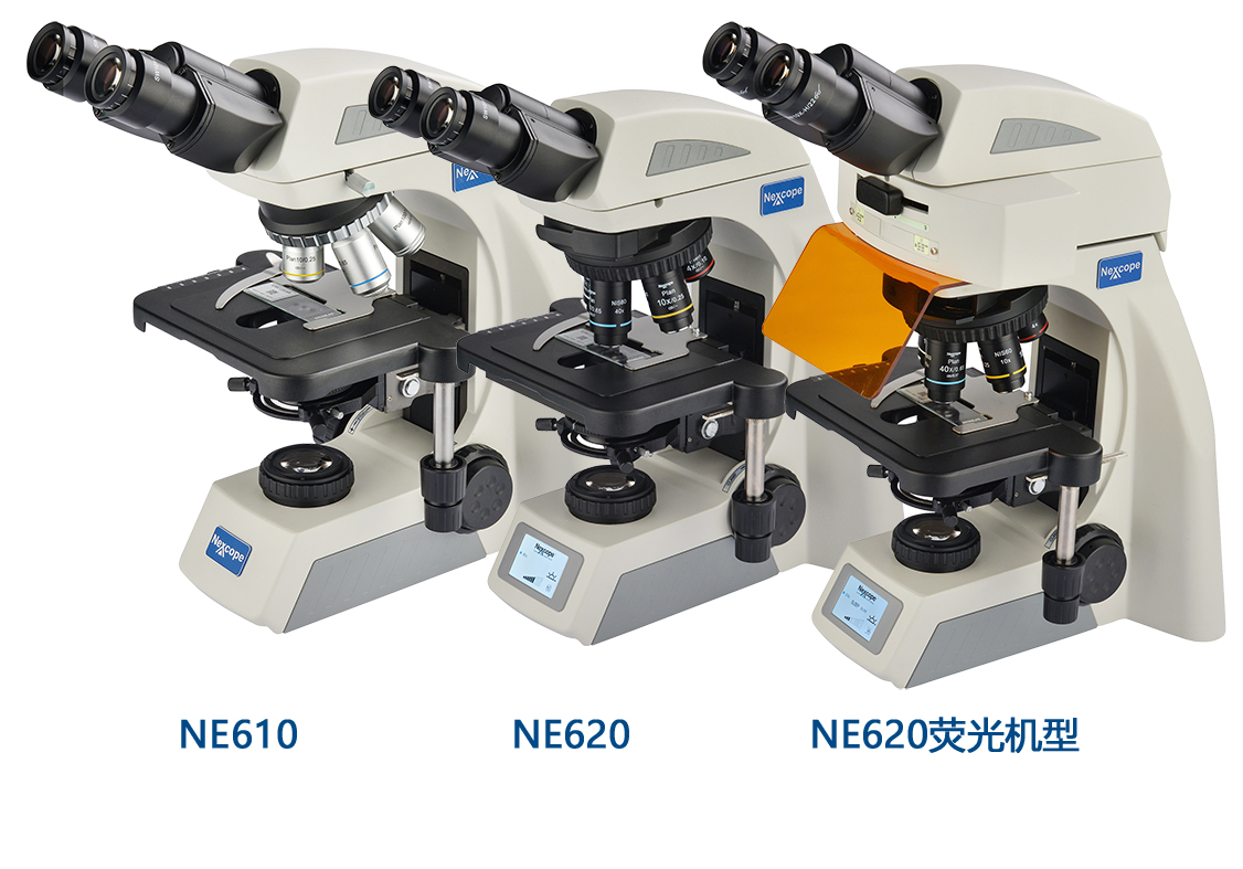 NEXCOPE 基础实验室显微镜NE610/NE620/NE620FL示例图1