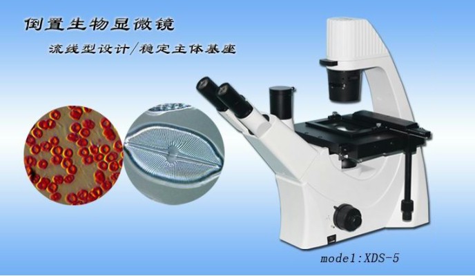 留辉科技 倒置生物显微镜 XDS  5 重庆显微镜专卖