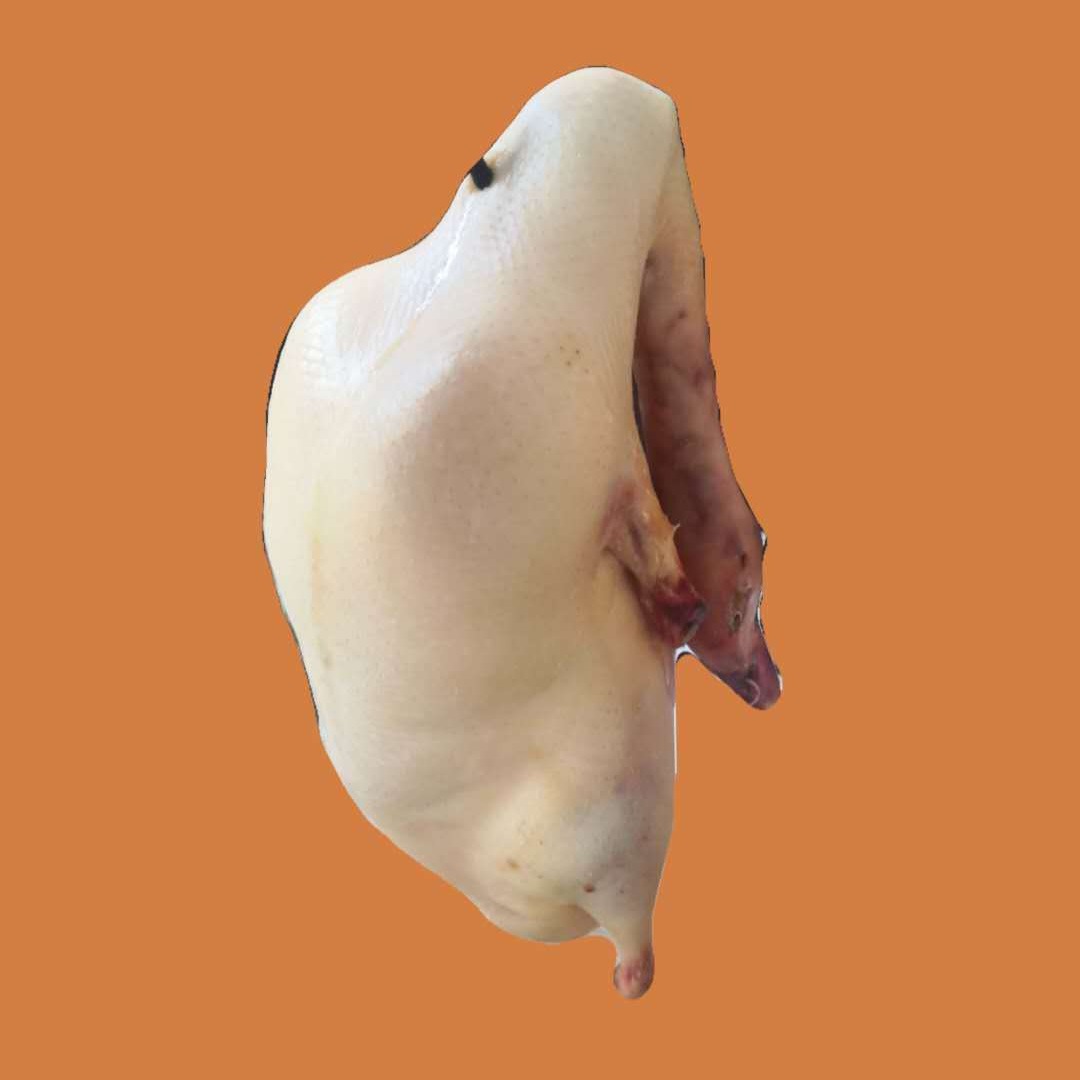 鸭胚厂家直销冷冻鸭坯四系北京填鸭胚樱桃谷鸭