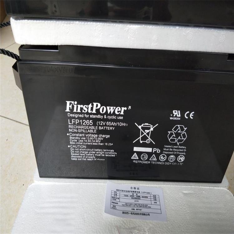 FirstPower一电蓄电池LFP1265 12V65AH阀控式铅酸蓄电池 太阳能路灯设备用 现货供应