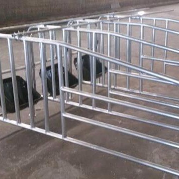 世昌畜牧养猪设备限位栏批发厂家