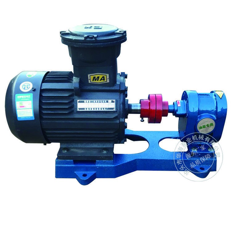 华海泵业长期供应2CY3/2.5齿轮油泵高压齿轮泵燃烧器油泵