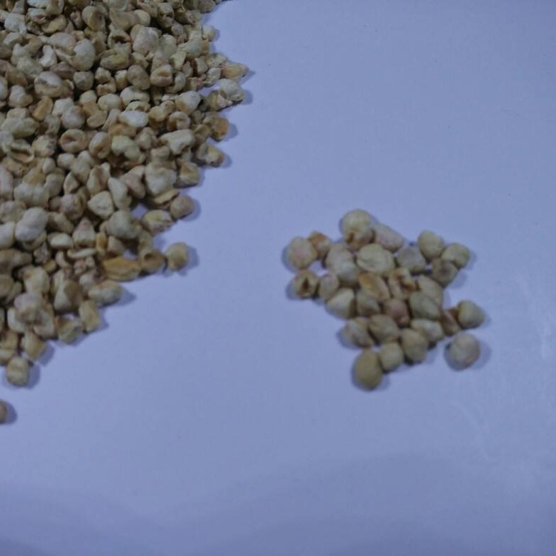 乐山干燥设备用优质玉米芯磨料优点 坚固耐用玉米芯磨料行业资讯 干洗行业抛光用玉米芯磨料