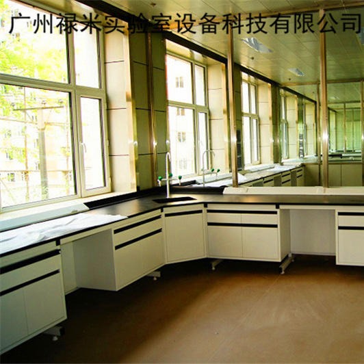 禄米实验室化验室实验台柜 化验室中央实验台生产厂家LM-SYT152