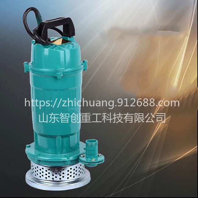 智创ZC-1 多功能小型潜水泵质量保证 热销小型潜水泵厂家直销图片