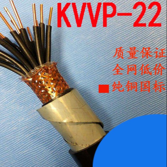 安徽安东电缆 控制电缆KVVP22 KVV22 铠装控制电缆线