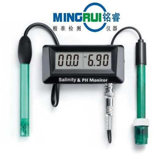 铭睿SA-0259 在线 PH/盐度测试仪 在线PH盐度测量仪图片
