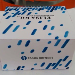 ELISA试剂盒 大鼠肌红蛋白(MYO/MB)ELISA试剂盒 慧嘉生物图片
