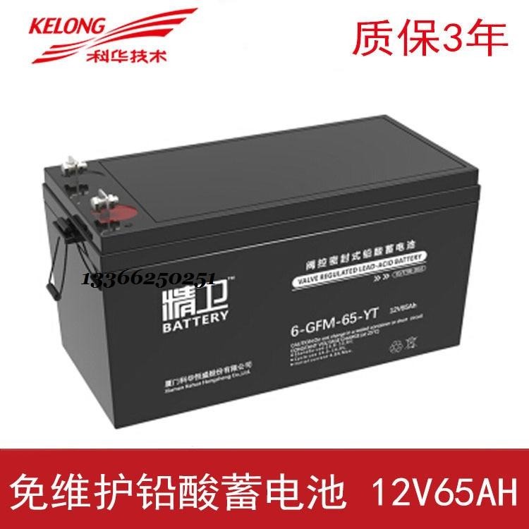 科华技术 精卫蓄电池 6-GFM-65-YT 科华铅酸蓄电池 12V65AH