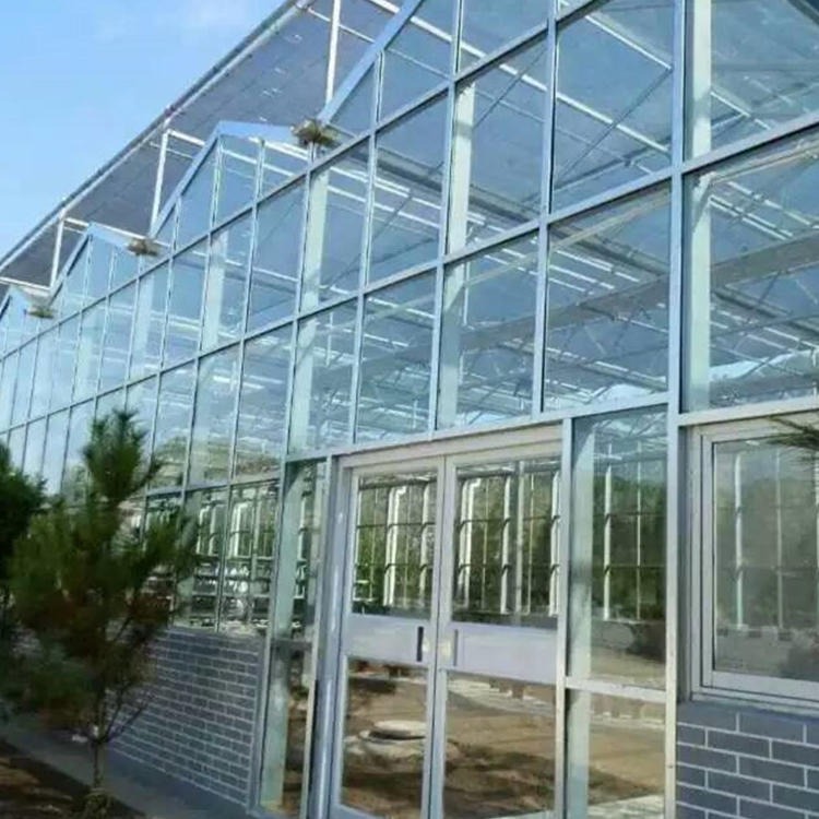 博伟 四季农业温室大棚 玻璃温室大棚 新型蔬菜玻璃大棚 玻璃温室花卉房 欢迎选购