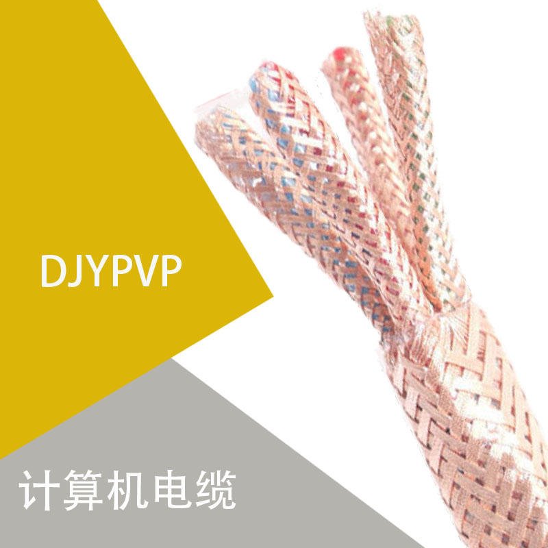 计算机电缆DJYPVP 多芯商用阻燃屏蔽控制电缆 双绞通信电缆 国标