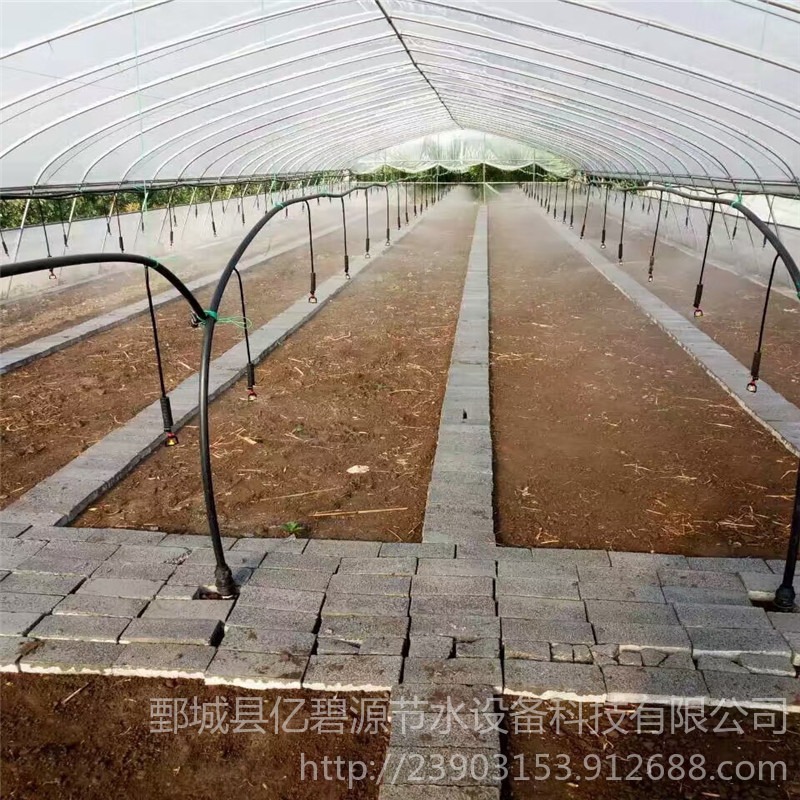 四川温室蔬菜喷灌系统 大棚蔬菜折射微喷头 大棚育苗灌溉喷头